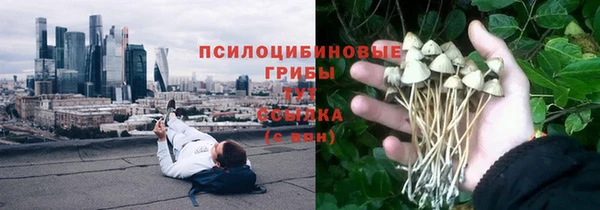 гидра Балабаново