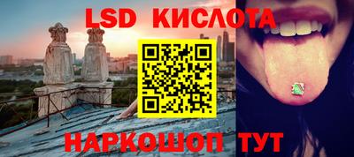 спайс Берёзовский