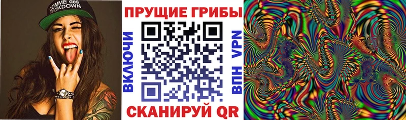 shop состав Воскресенск Псилоцибиновые грибы мухоморы
