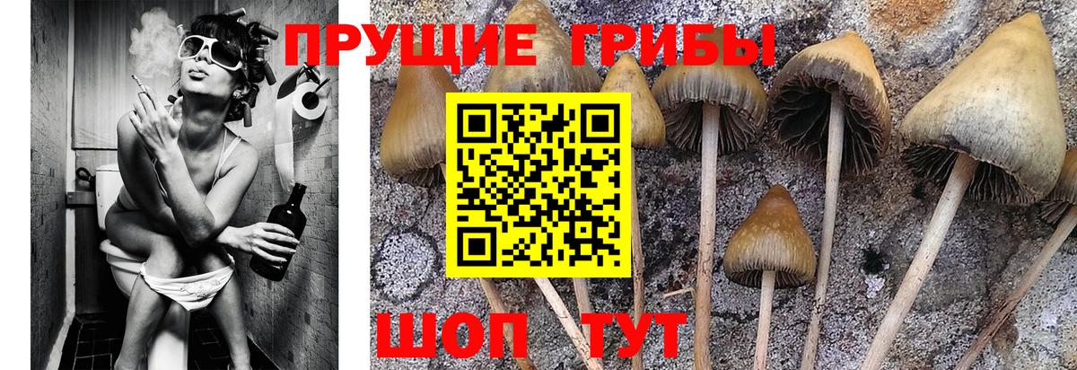 Псилоцибиновые грибы Magic Shrooms  Псилоцибиновые грибы MAGIC MUSHROOMS  Вход с VPN  Воскресенск 